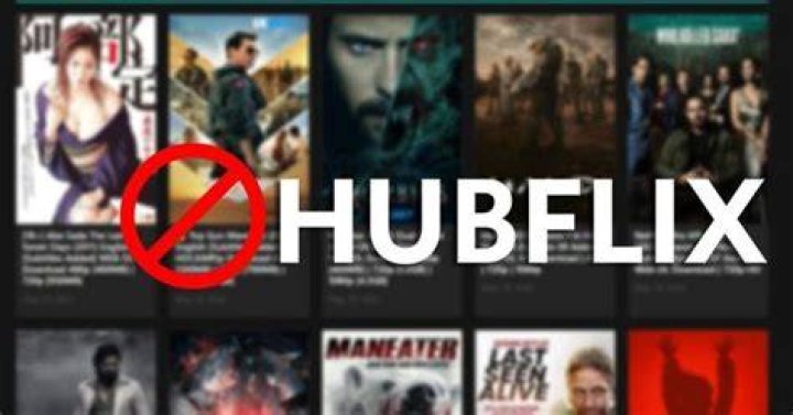 Hubflix AllMoviesHub 2023 720p 800MB Hollywood Bollywood Movies