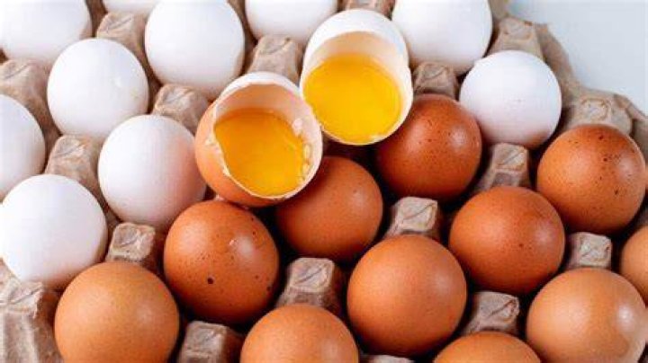 huevos