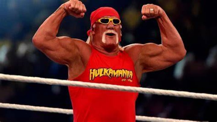 Hulk Hogan cutting a WWE promo