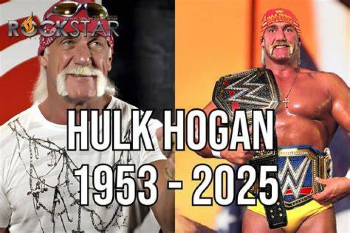 Hulk Hogan Enziguri