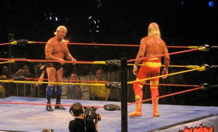 Hulk Hogan Pushes Ric Flair