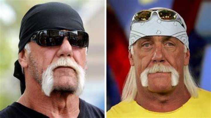 Hulk Hogan Shaved Mustache
