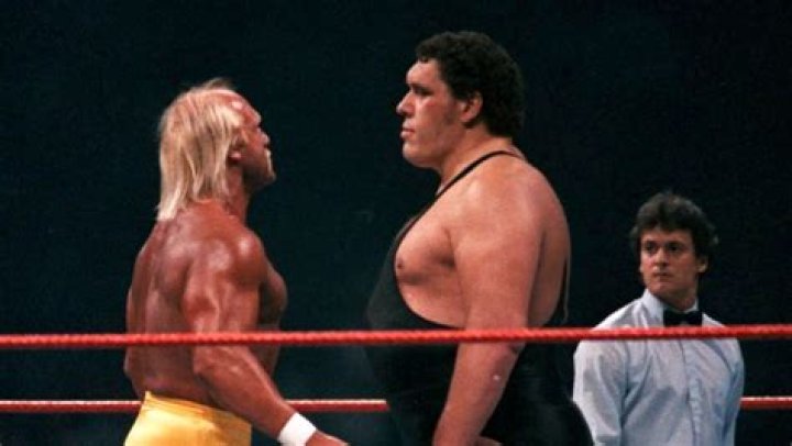 Hulk Hogan The Giant Sumo Monster Truck