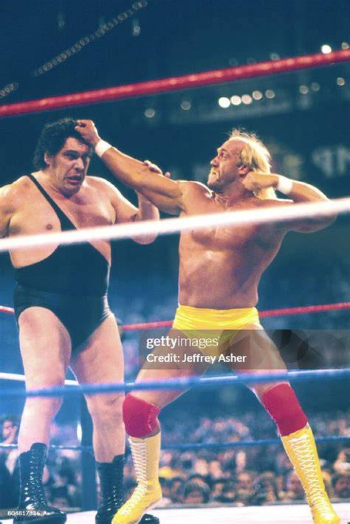 Hulk Hogan v The Giant Hog Wild 1996 Cropped