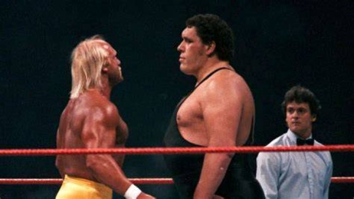 Hulk Hogan Vs The Giant