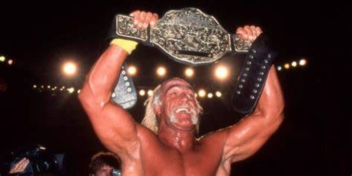 Hulk Hogan WCW Championship