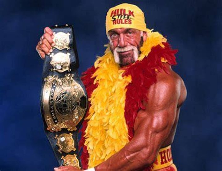 Hulk Hogan WWF Champion Cropped