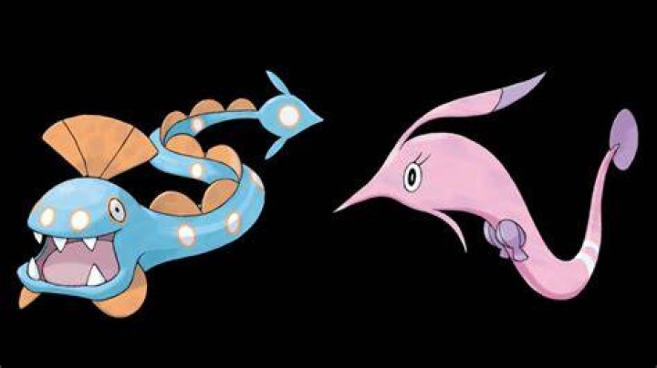 Huntail vs. Gorebyss | Bulbagarden