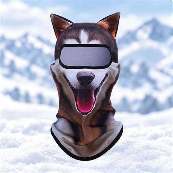 Husky-Chi outdoor tongue out