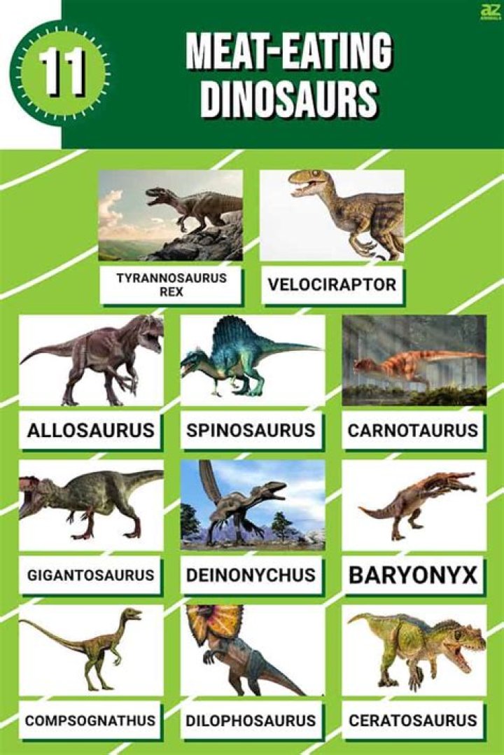I don't eat meat - dinosaur with taste for vegetarian fare