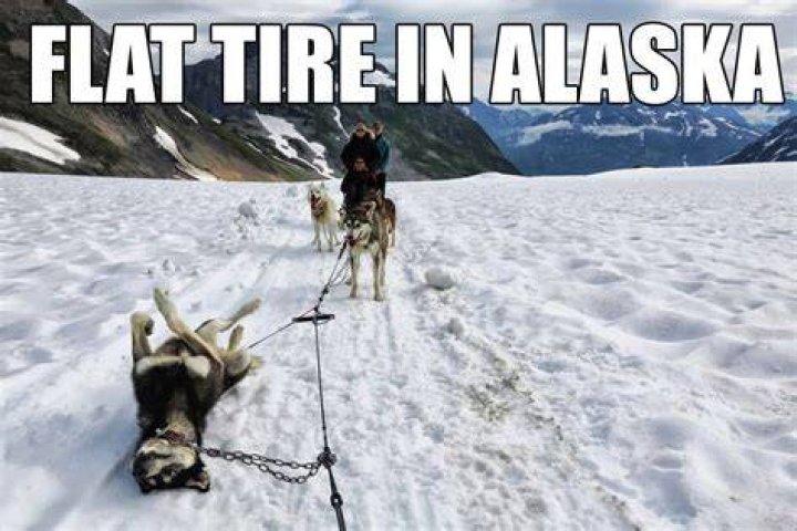 Iditarod funny A flat tire in Alaska