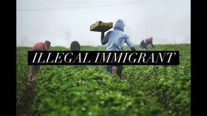 Illegal Immigrant by Dave Blunts on Amazon Music Unlimited