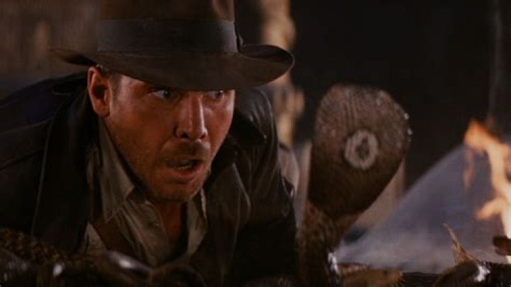 Indiana Jones Cowers In Fear As A Snake Nears Willie Scott In Temple Of Doom