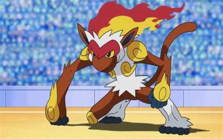Infernape Pokemon