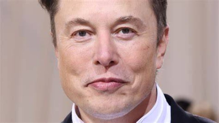 Inside The Elon Musk Flight Attendant Scandal