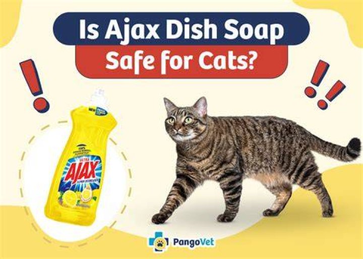 Is Ajax Dish Soap Safe for Cats? Vet-Approved Reasons, Alternatives, & FAQ