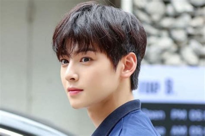 Is Cha Eun Woo In A Relationship 2024? Unveiling The Star's Love Life