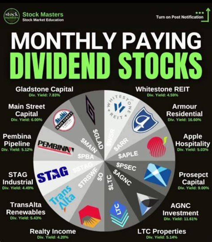 Is CLM a good dividend stock?