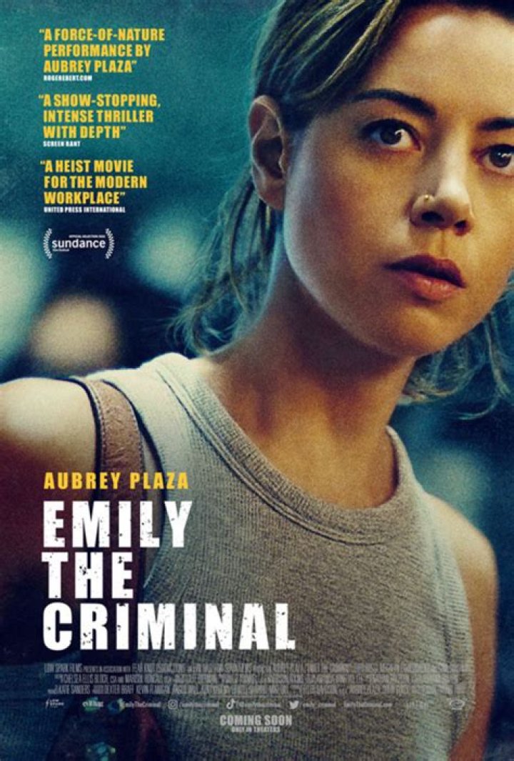 Is Emily The Criminal Movie A True Story