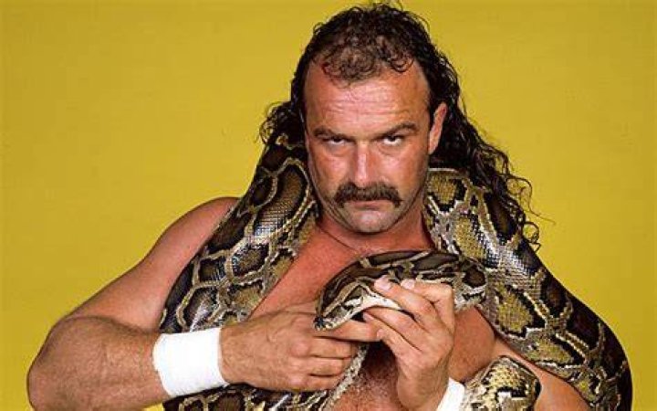 Jake Roberts Talks About How He Came Up With His Snake Gimmick
