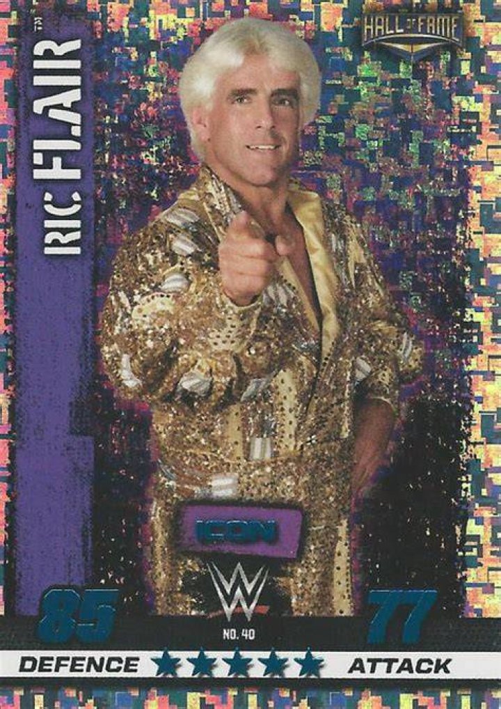 JCP Ric Flair's Last Match matchup graphic