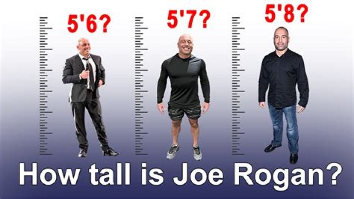 Joe Rogan: Weight And Height – All You Need To Know