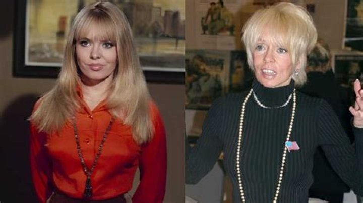 Joey Heatherton's biography: what is the American actress up to now?