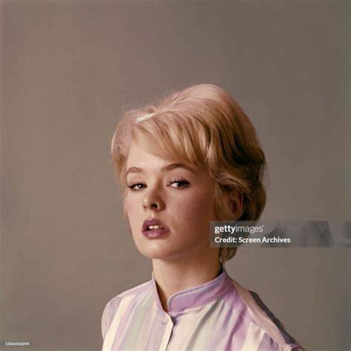 Joey Heatherton biography Joey Heatherton biography