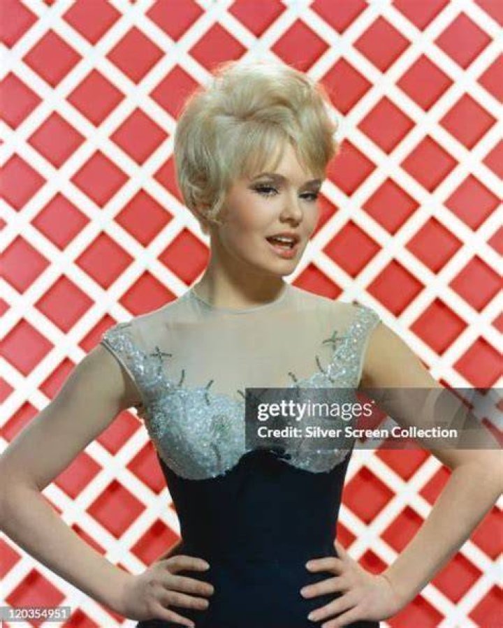Joey Heatherton's husband Joey Heatherton's husband