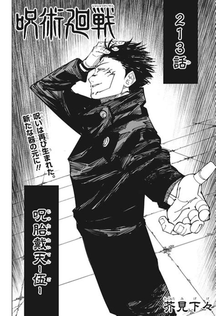 Jujutsu Kaisen Chapter 213 Recap And Review by Lanaz D'costa Medium