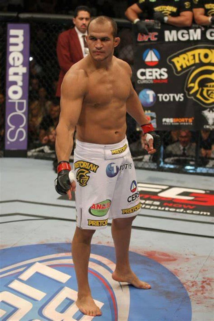 Junior Dos Santos and Chris Jericho