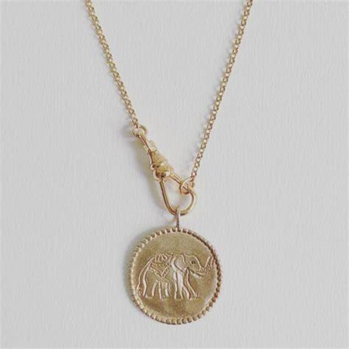 Kaitlan Collins Necklace Medallion: The Trendy Accessory Taking The Fashion World By Storm