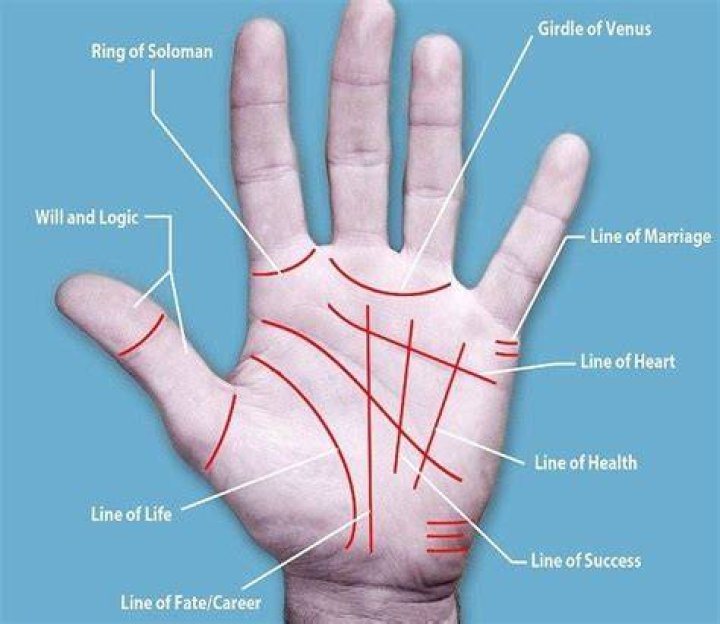 Know these Lines in Your Palm that Indicates Your Wealth and Money – Money Lines