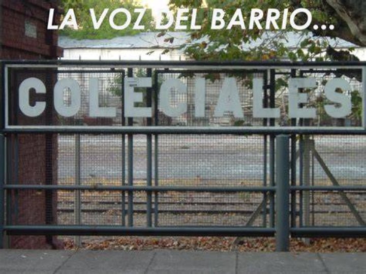 LA VOZ DEL BARRIO COLEGIALES BIENVENIDOS AL MERCADO DE LAS PULGAS
