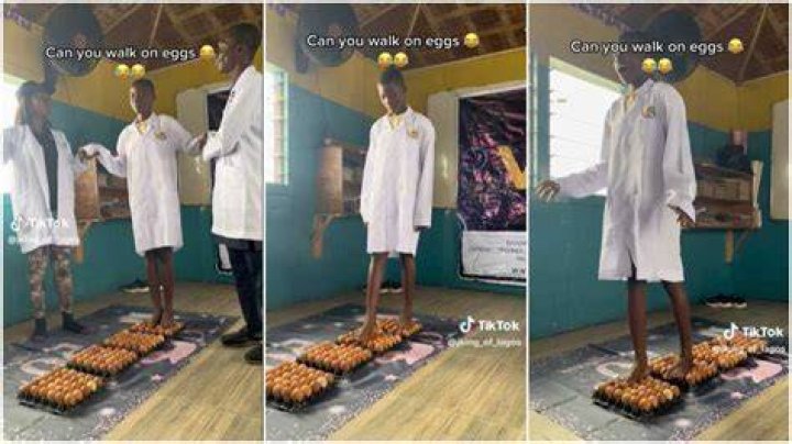 Lady Walks on Crates of Eggs, Tries Not To Break Any, TikTok Video Causes a Stir: “Waste Like This”