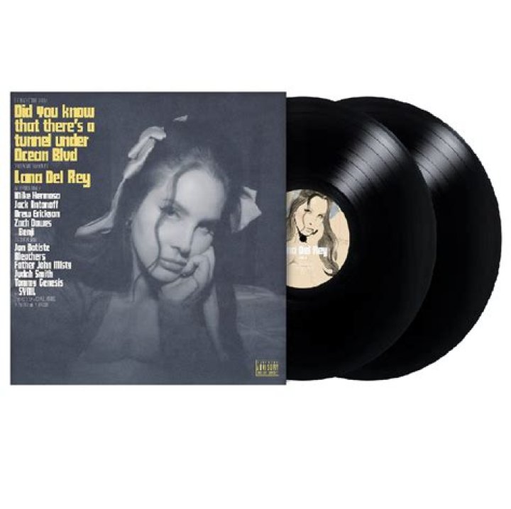 Lana Del Rey Vinyl: A Journey Through Melodic Nostalgia