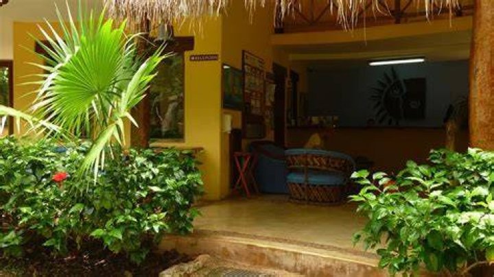 Language Schools in Playa del Carmen, Mexico