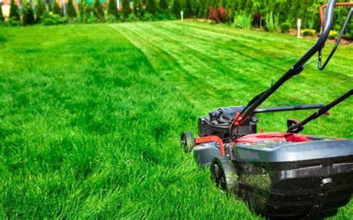 lawn mower cutting grass