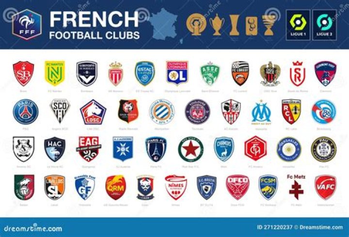 League 1 French football clubs