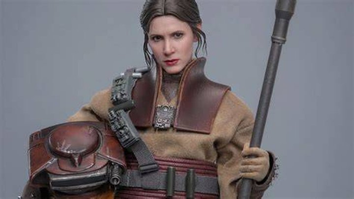 Leia disguised as Boushh, fighting Bossk in Star Wars