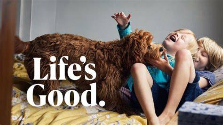 Life is good meme with Homelander and Omni-Mann by EndlessMorfeus