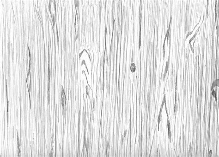 Line drawing with wood grain or sap on front, pun in the inside. Wood