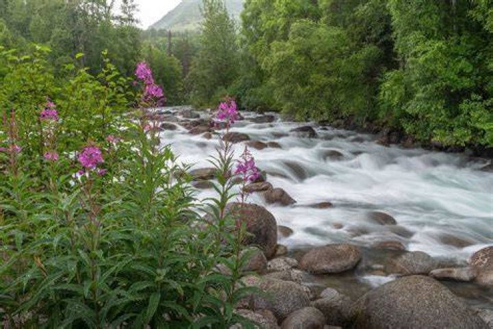 Little Sue River Alaska Alaska, Favorite places, Outdoor