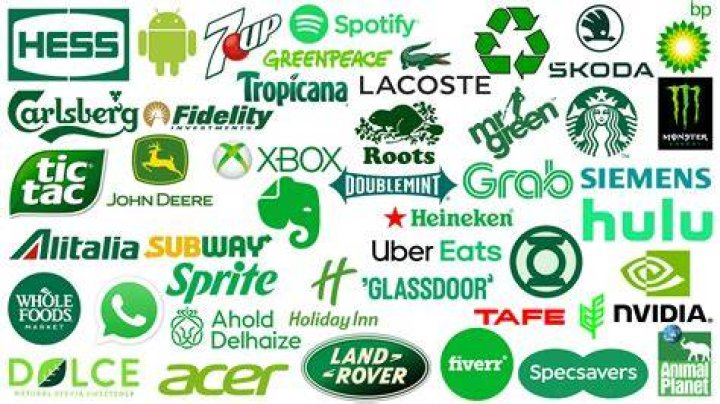Logo, Green, Graphics, Font, Brand, Trademark, Parrot, 