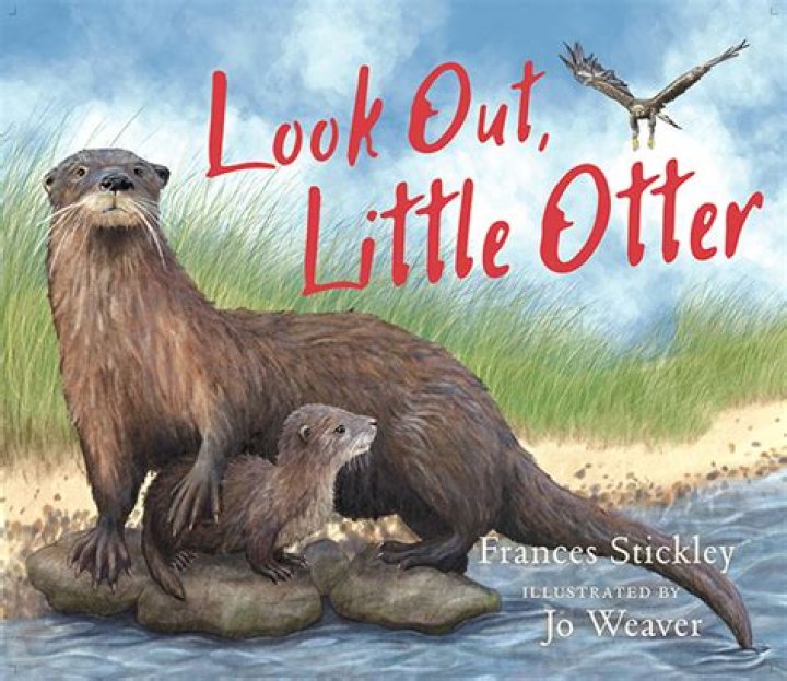 Look Out for the Little Guy! 