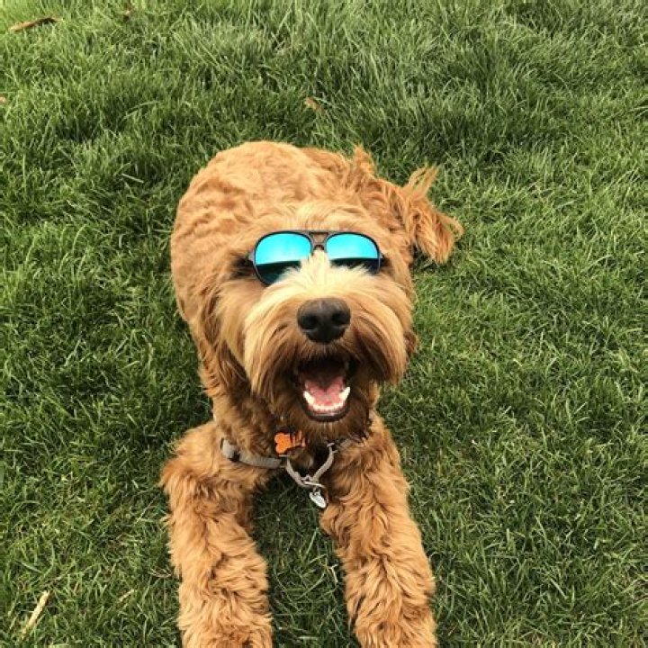 Madonna having a good time