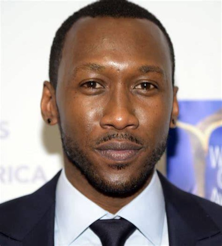 mahershala ali's blade is already different from snipes;