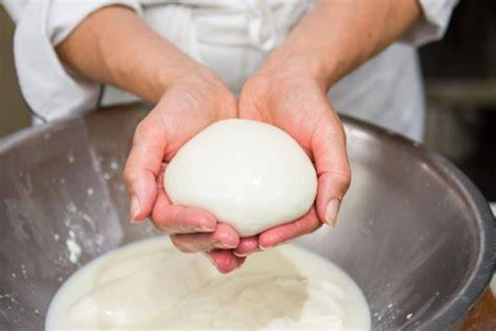 making fresh cheese
