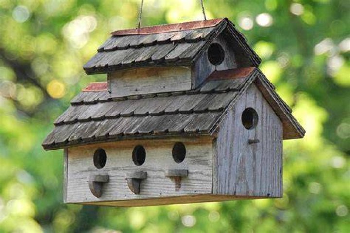 man builds a bird house and is attaching the front to the sides with a drill
