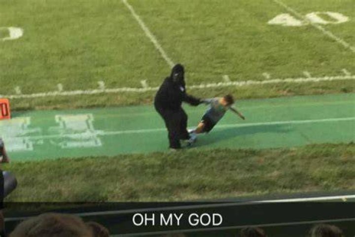 Man in gorilla costume drags children around football pitch in tribute to Harambe